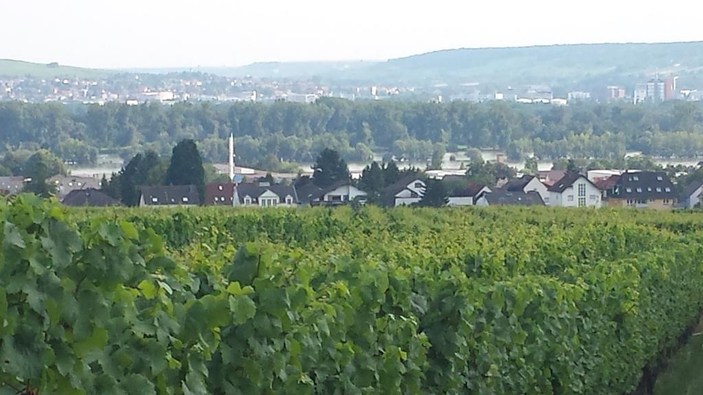 Ferienwohnung Weingut Leis Oestrich-Winkel Chambre photo