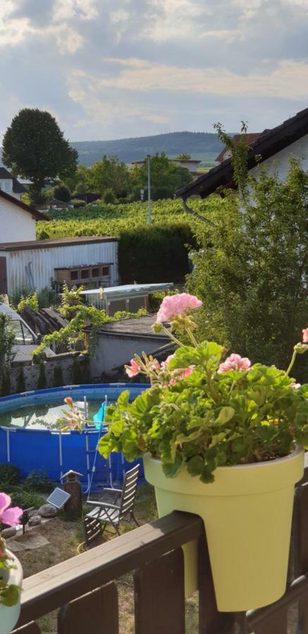 Ferienwohnung Weingut Leis Oestrich-Winkel Extérieur photo